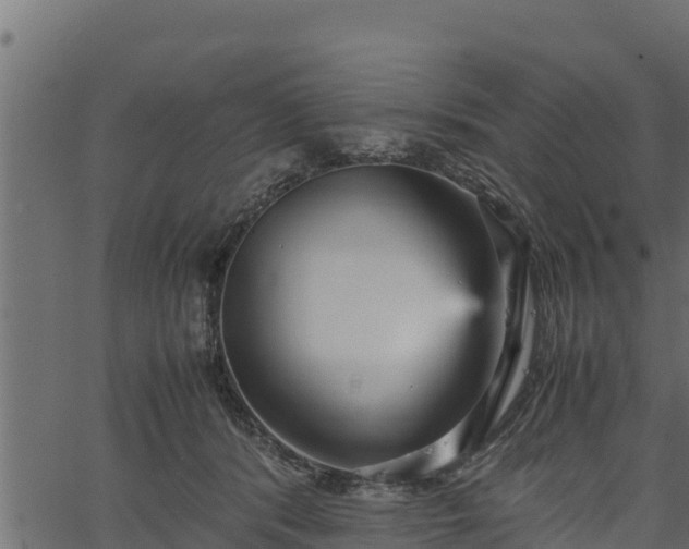 X0000066940416200603311422