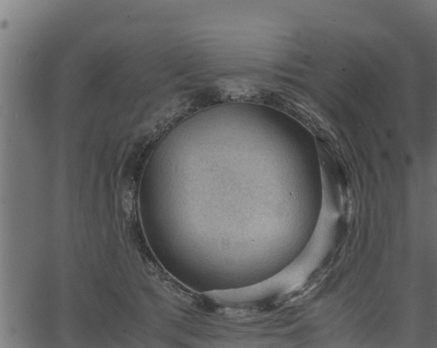 X0000066940417200603311422