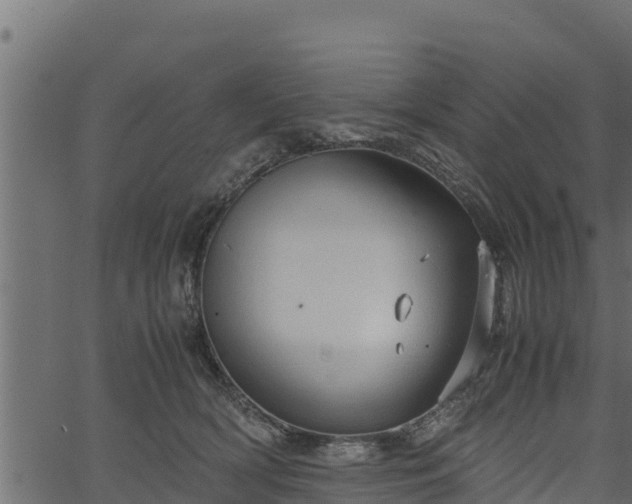 X0000066940418200603311422