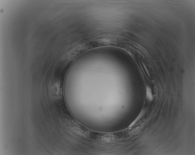 X0000066940420200603311422