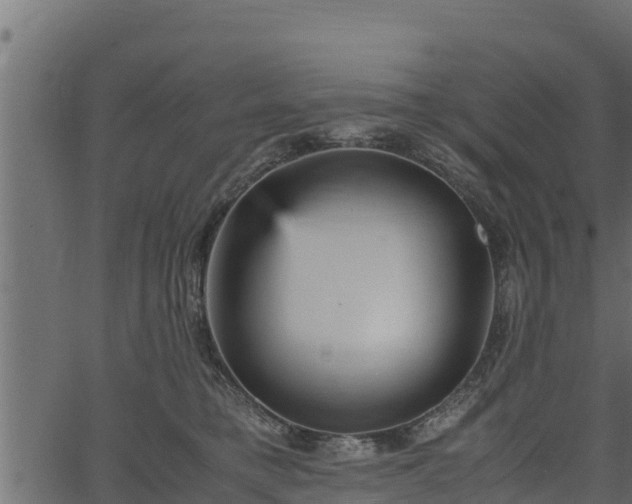 X0000066940421200603311422