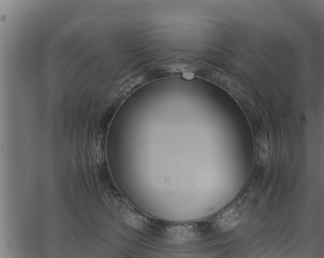 X0000066940422200603311422