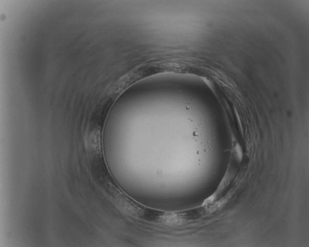 X0000066940425200603311422