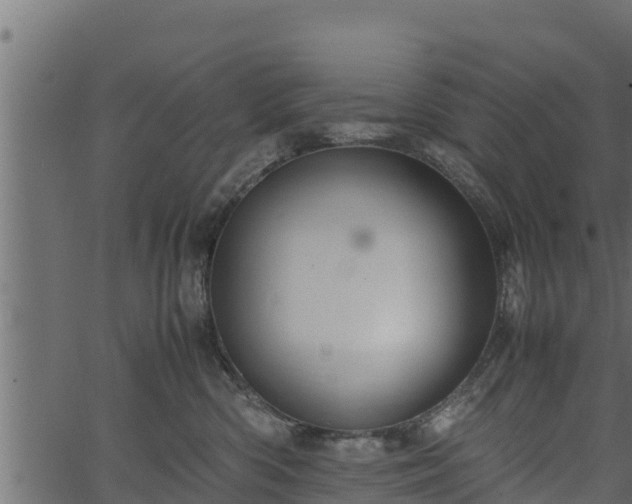 X0000066940426200603311422