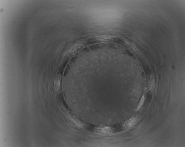 X0000066940427200603311422