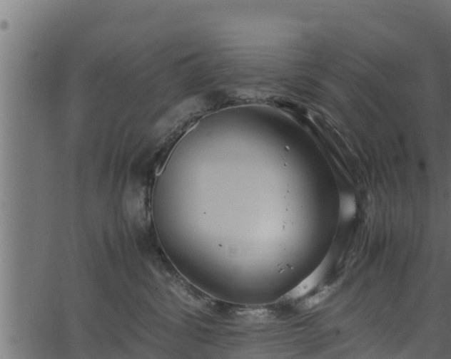 X0000066940428200603311422