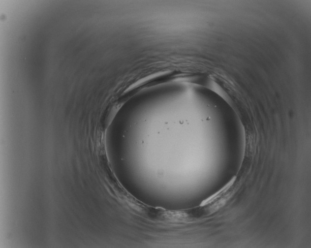 X0000066940429200603311422