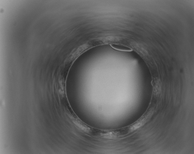 X0000066940430200603311422