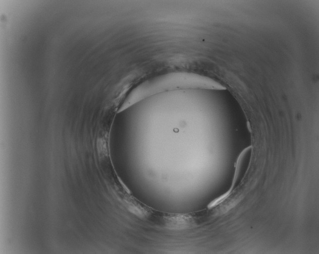 X0000066940432200603311422