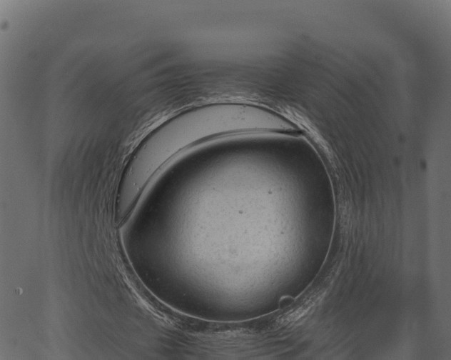 X0000066940433200603311421