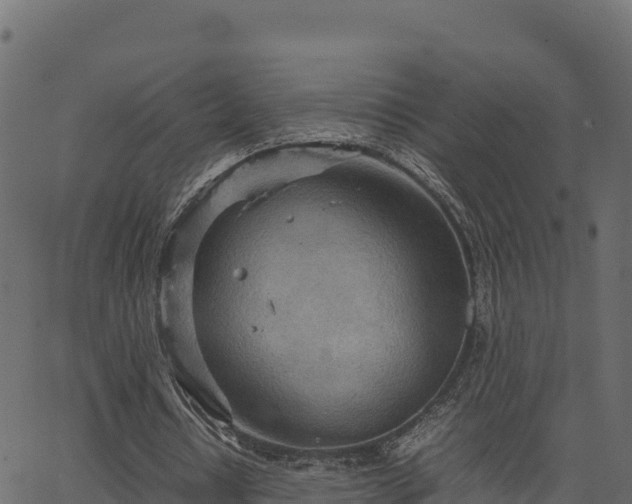 X0000066940434200603311421