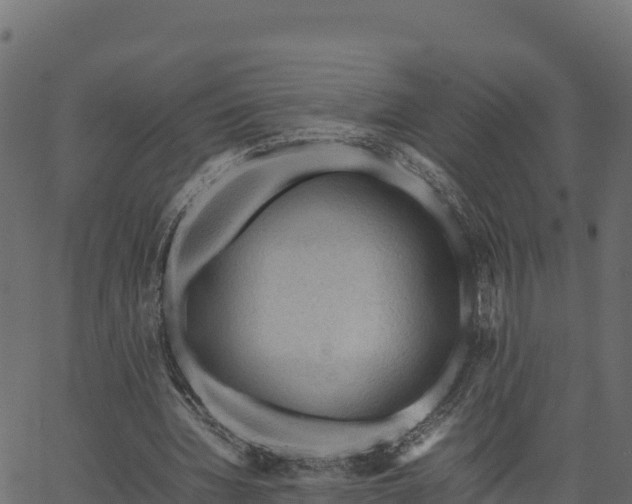 X0000066940436200603311421