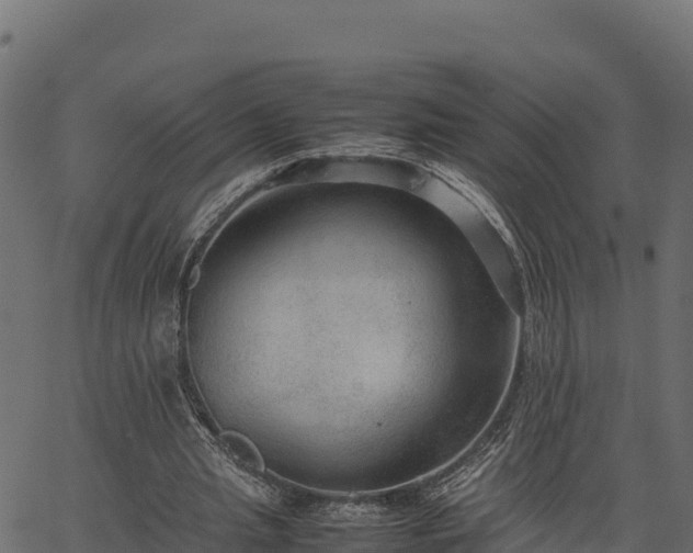 X0000066940437200603311421