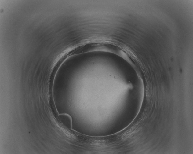 X0000066940438200603311421