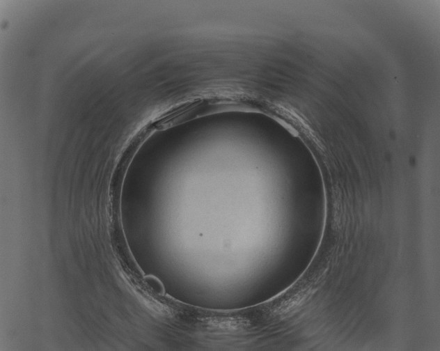 X0000066940439200603311421