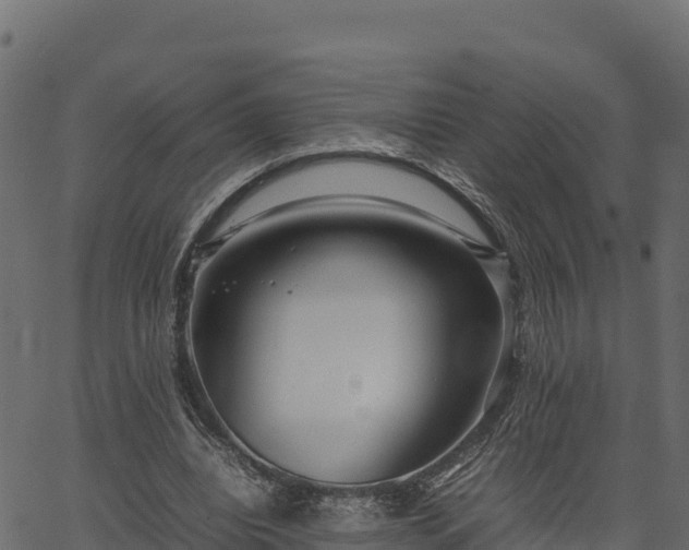 X0000066940440200603311421