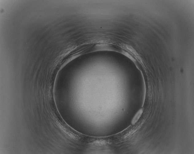 X0000066940441200603311421