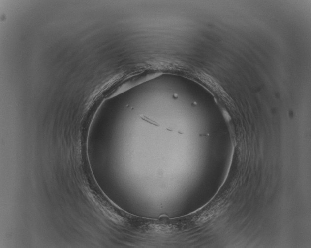 X0000066940442200603311421