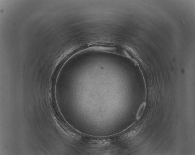 X0000066940443200603311421