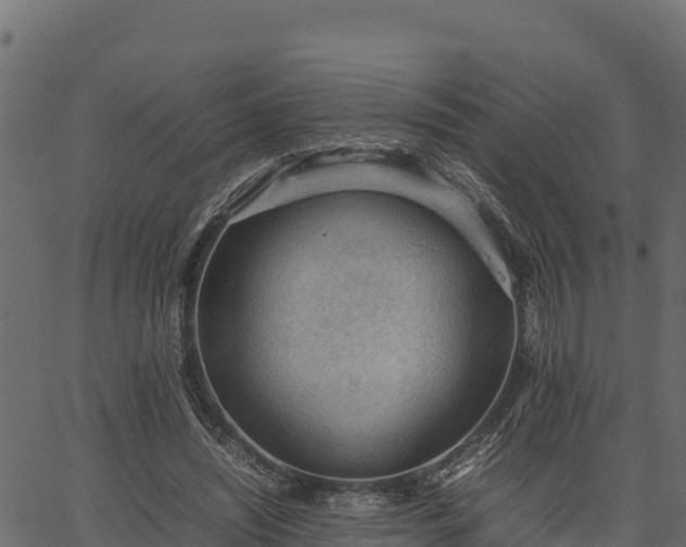 X0000066940444200603311421