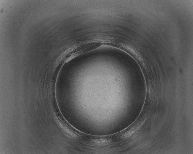 X0000066940445200603311421