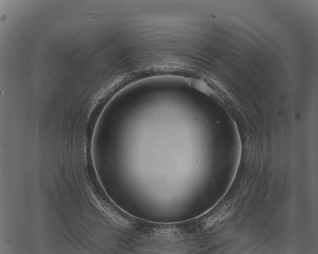 X0000066940446200603311421