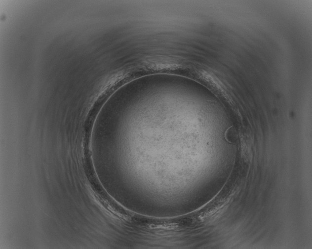 X0000066940447200603311421