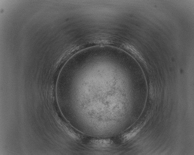 X0000066940449200603311421