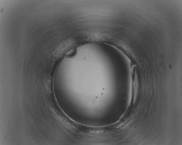 X0000066940450200603311421