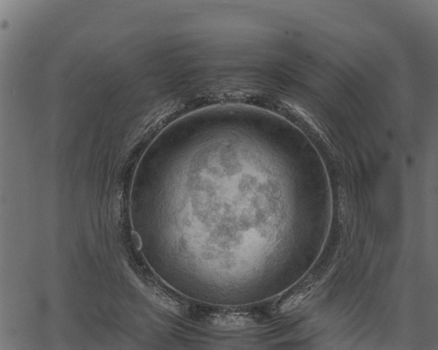 X0000066940451200603311421