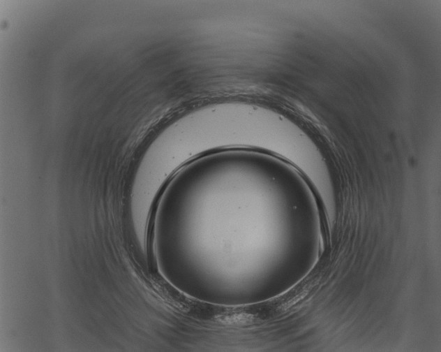 X0000066940452200603311421