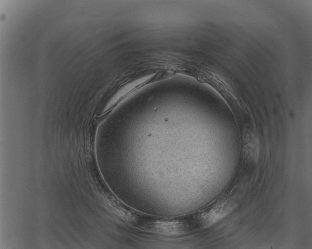 X0000066940457200603311421