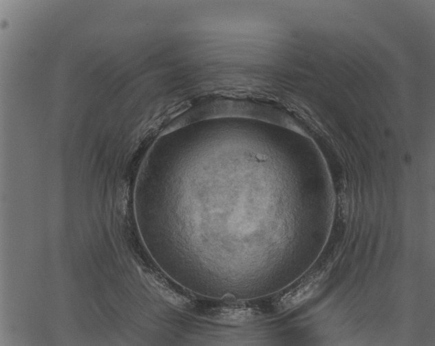 X0000066940458200603311421