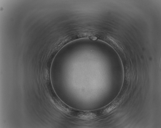 X0000066940459200603311421