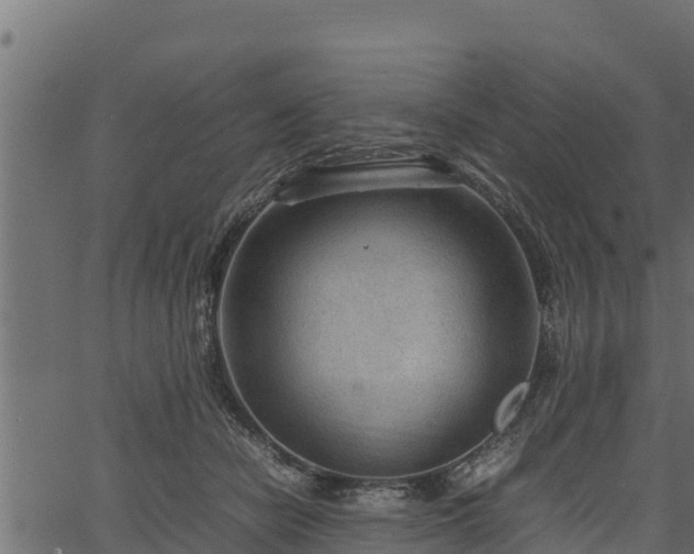 X0000066940462200603311421