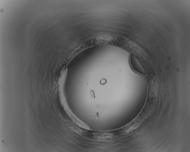 X0000066940463200603311421