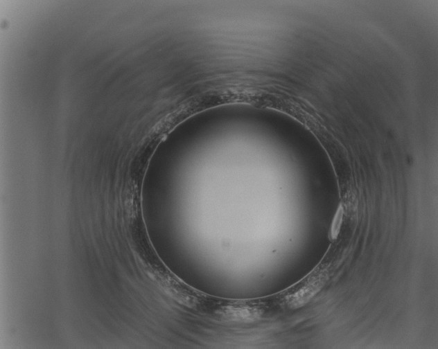 X0000066940464200603311421