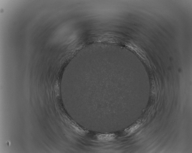 X0000066940465200603311421