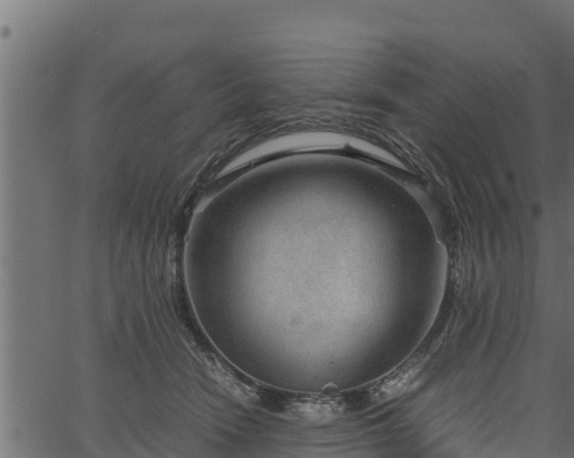 X0000066940466200603311421