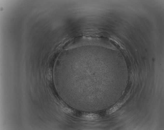 X0000066940467200603311421