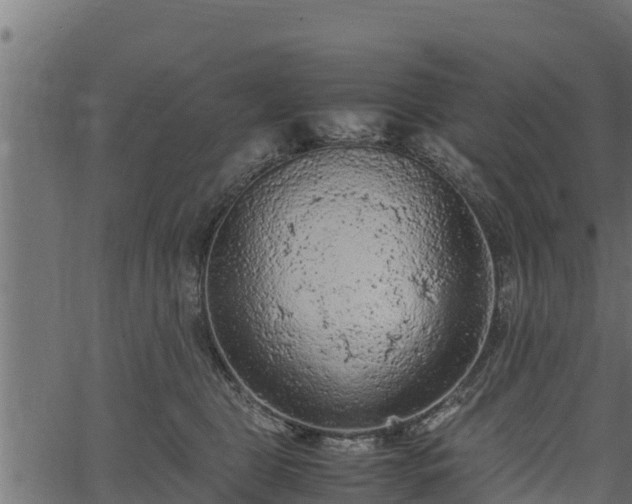 X0000066940469200603311421