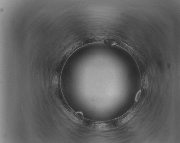 X0000066940472200603311421