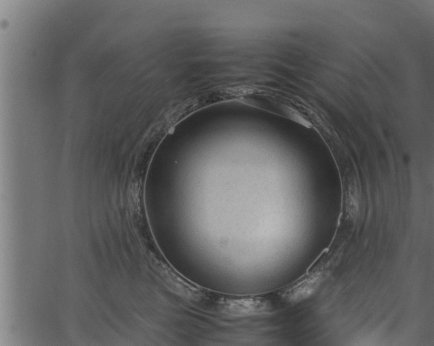 X0000066940473200603311422