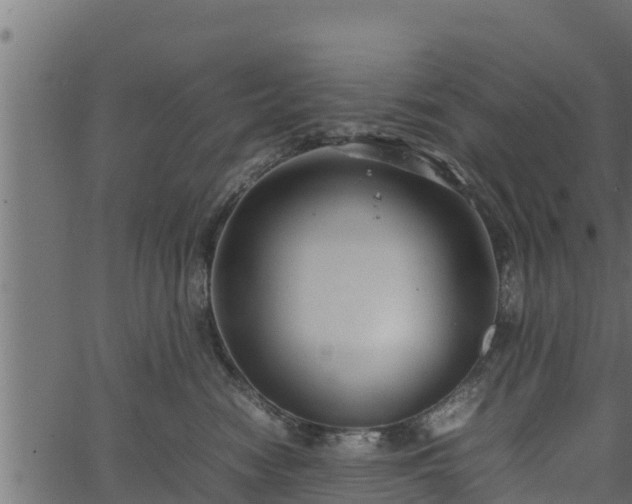 X0000066940474200603311422