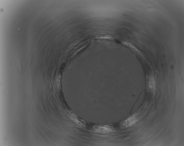 X0000066940475200603311422