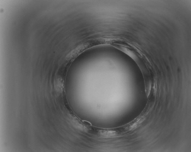 X0000066940476200603311422