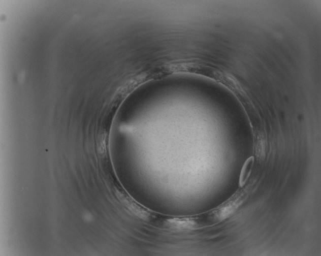 X0000066940477200603311422