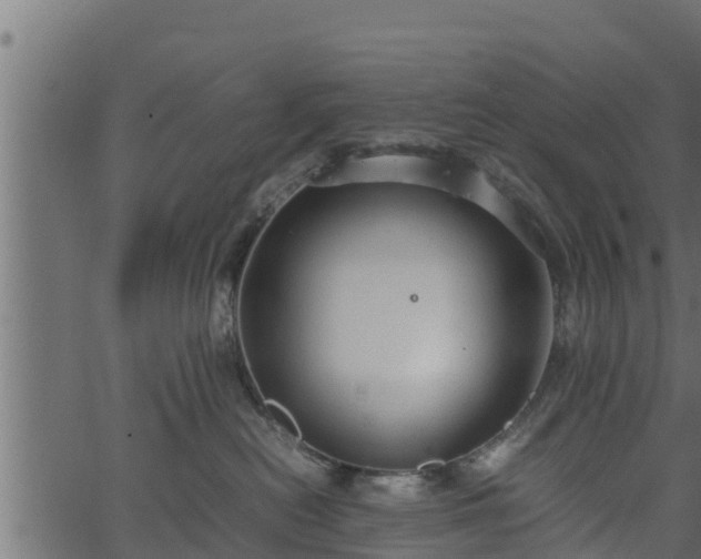 X0000066940478200603311422