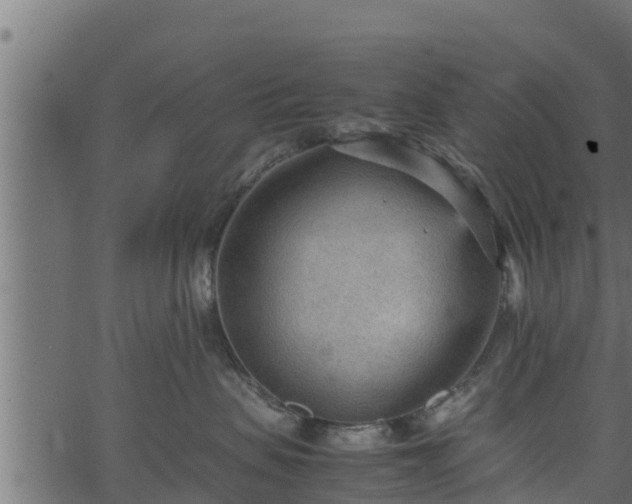 X0000066940479200603311422