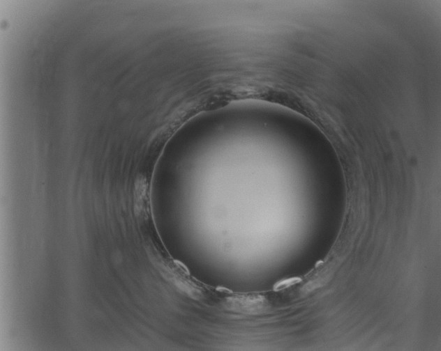 X0000066940480200603311422